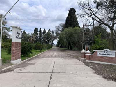 Terreno en Terreno en venta en Colonia San Jose