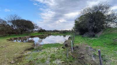 Campo en S