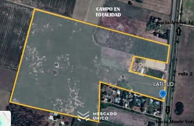Campo en ruta 2 