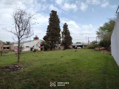 Terreno en Azopardo 8400