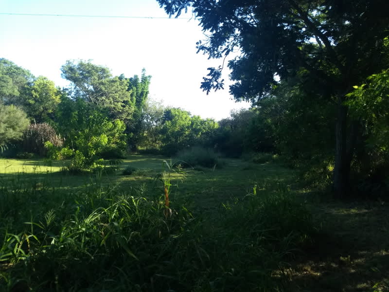 Terreno en Compra/Venta