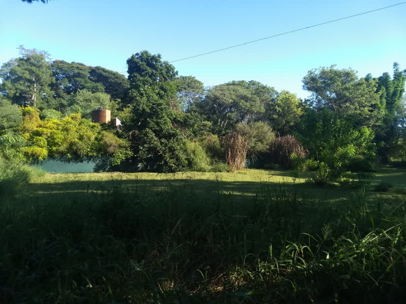 Terreno en Compra/Venta