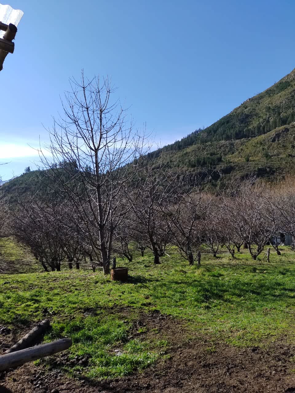 Campo en Compra/Venta