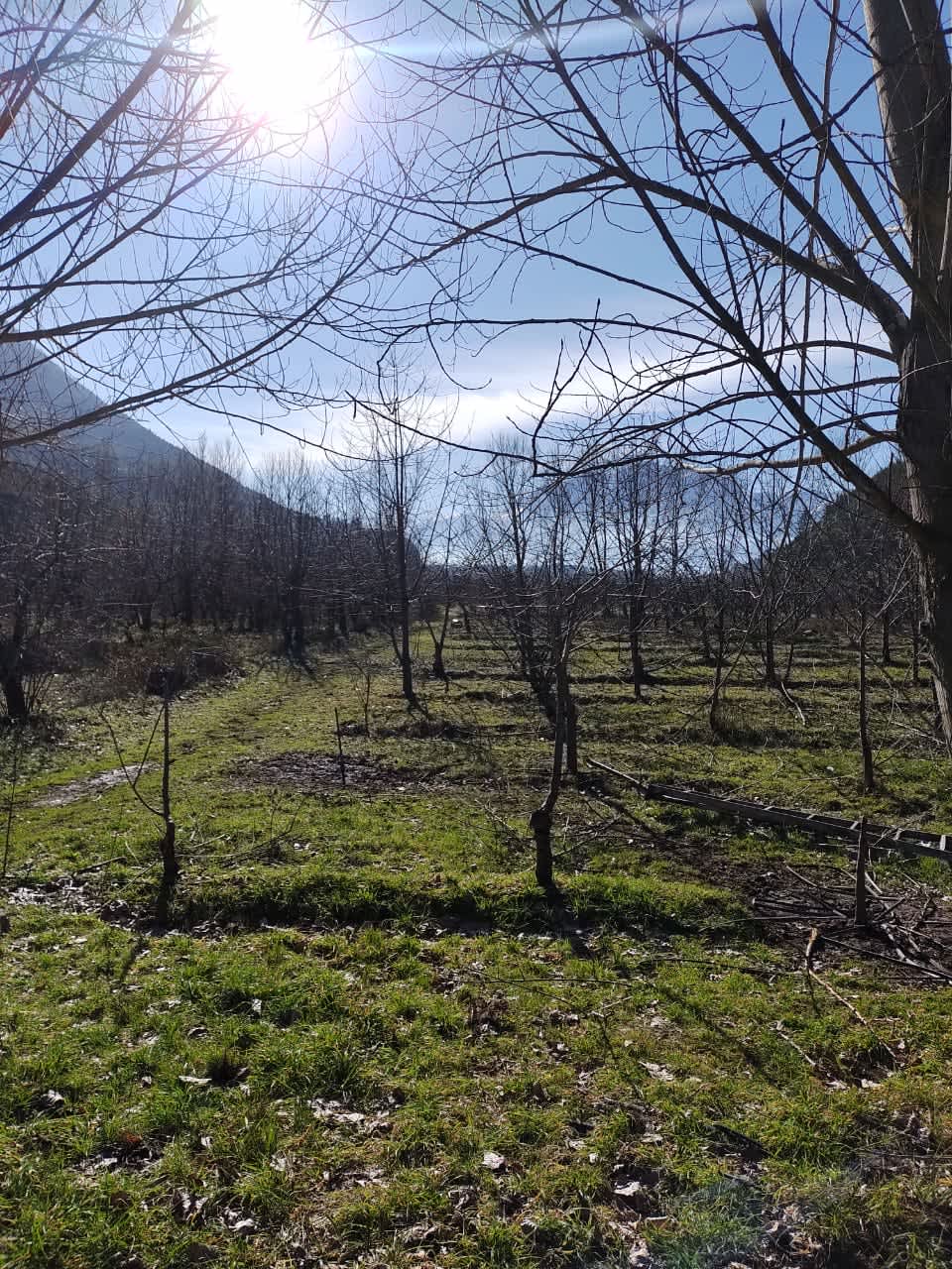 Campo en Compra/Venta