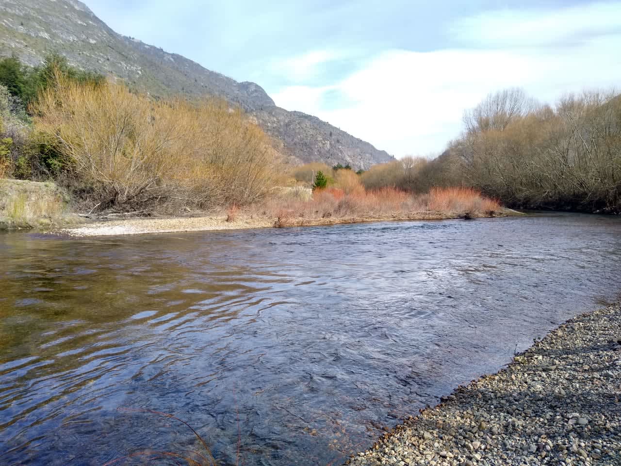 Campo en Compra/Venta