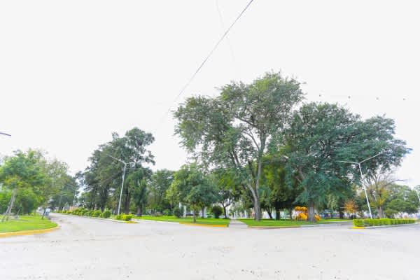 Terreno en Compra/Venta