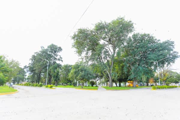 Terreno en Compra/Venta