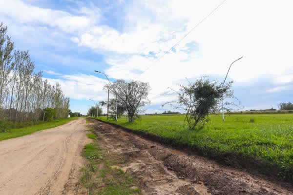 Terreno en Compra/Venta