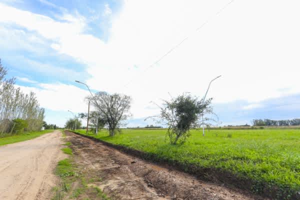 Terreno en Compra/Venta