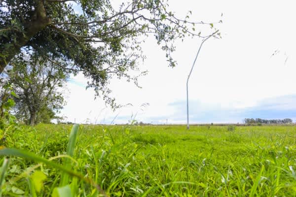 Terreno en Compra/Venta