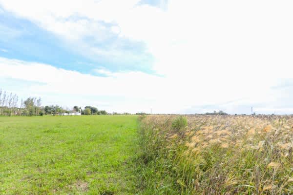 Terreno en Compra/Venta