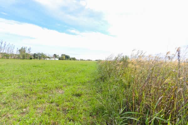 Terreno en Compra/Venta