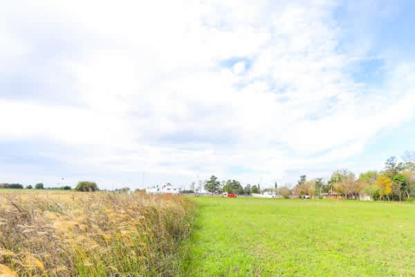 Terreno en Compra/Venta