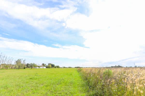 Terreno en Compra/Venta