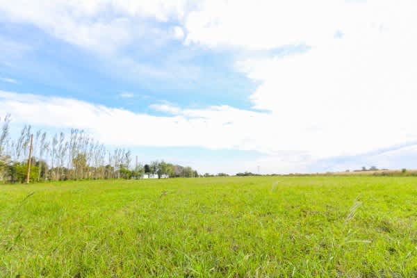 Terreno en Compra/Venta