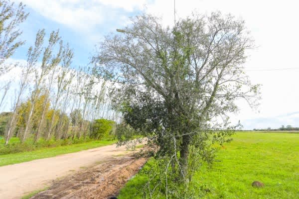Terreno en Compra/Venta