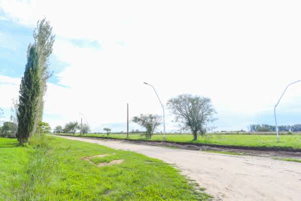 Terreno en Compra/Venta