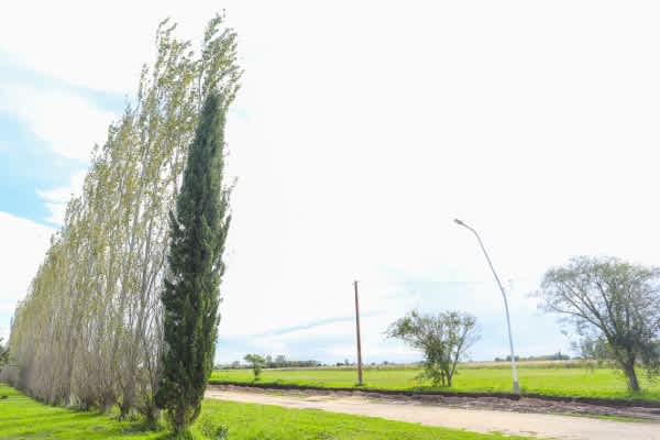 Terreno en Compra/Venta