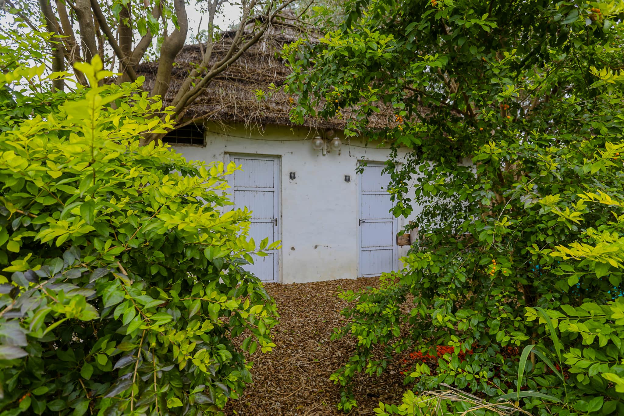 Terreno en Compra/Venta