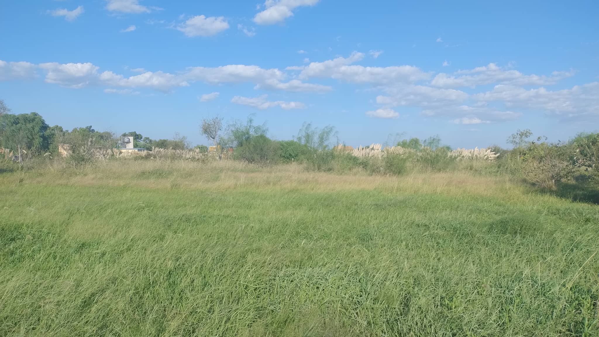 Terreno en Compra/Venta