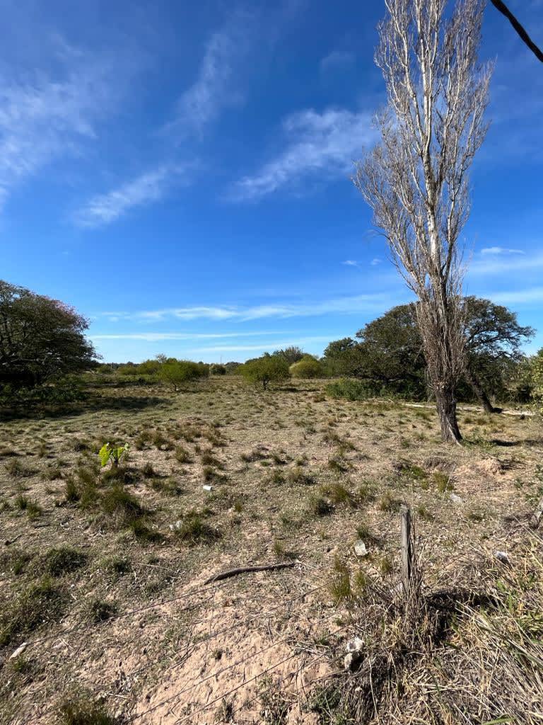 Terreno en Compra/Venta