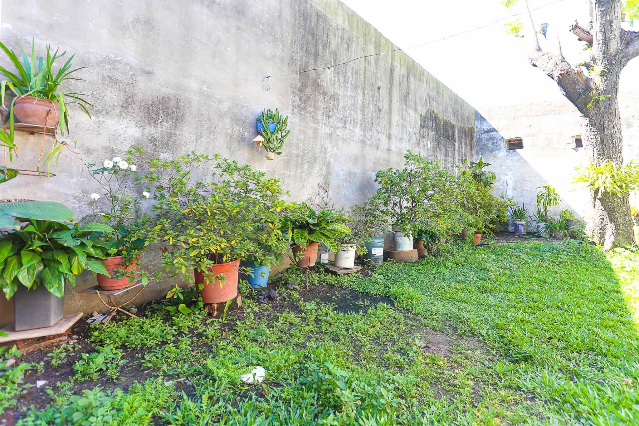 Casa en Compra/Venta