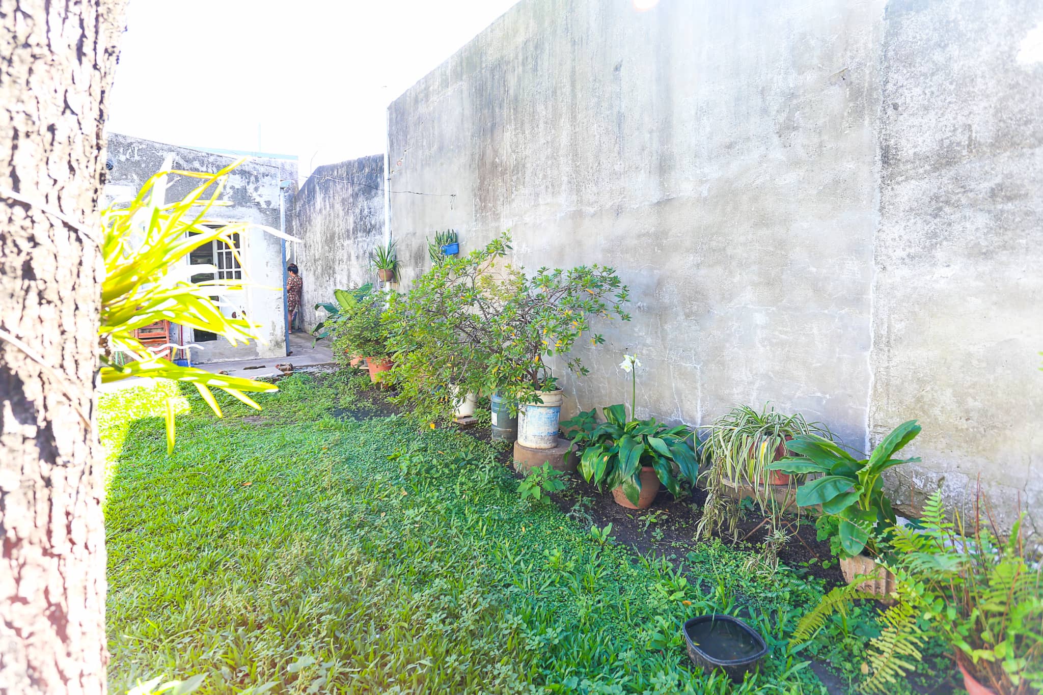 Casa en Compra/Venta