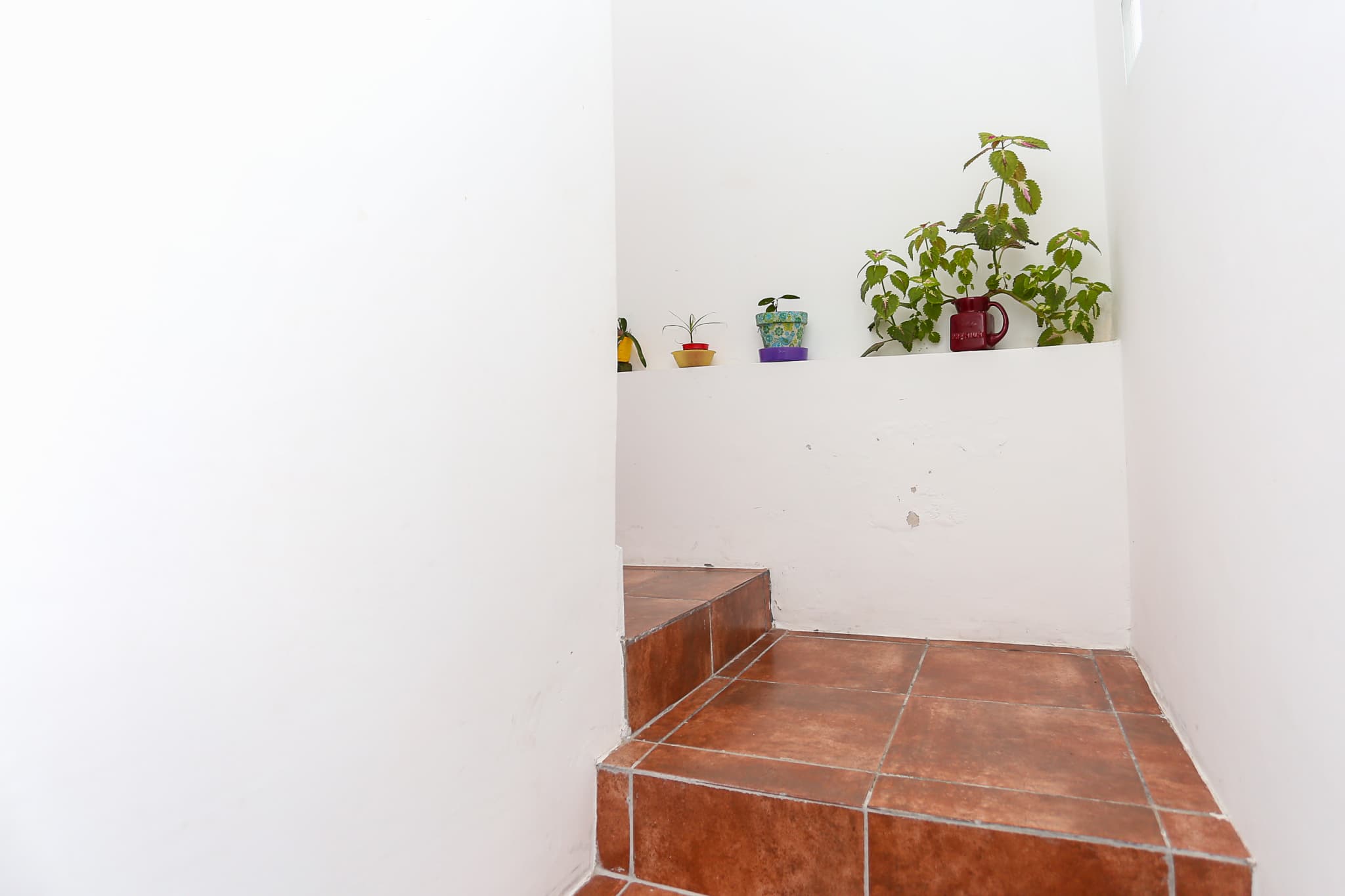 Duplex en Compra/Venta