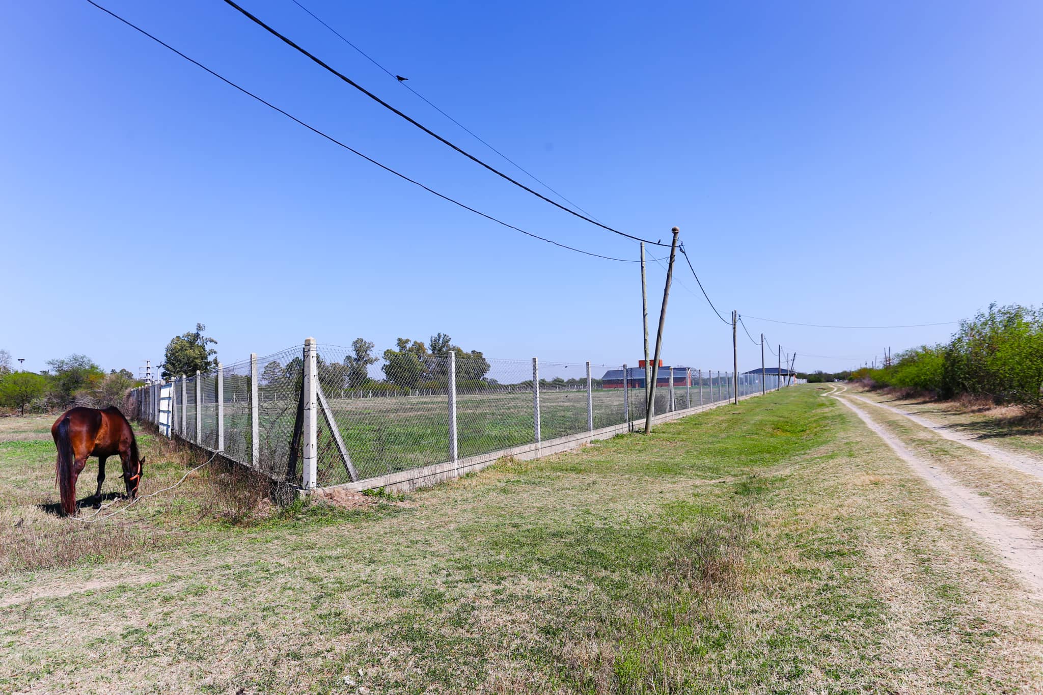 Terreno en Compra/Venta