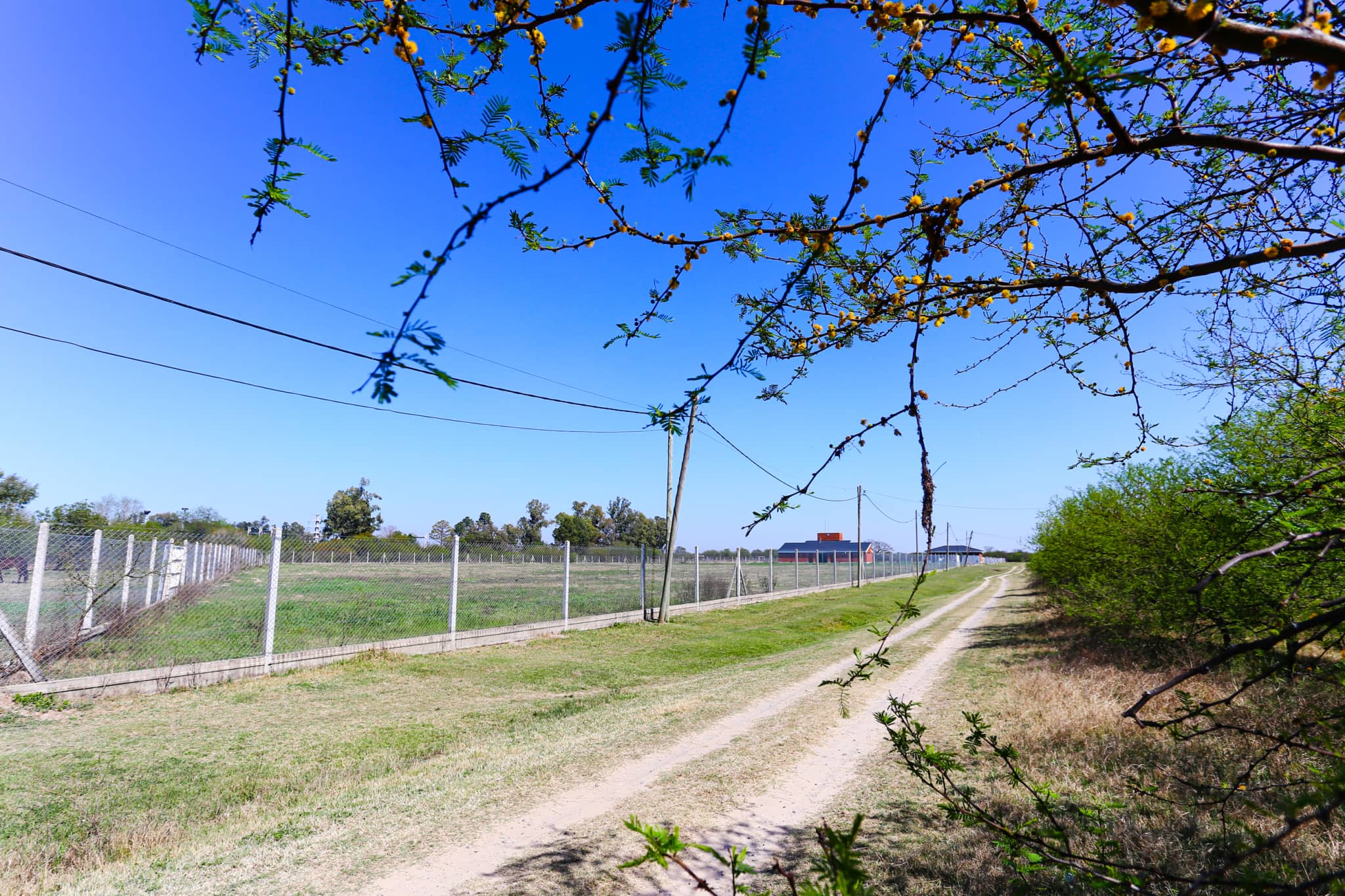Terreno en Compra/Venta