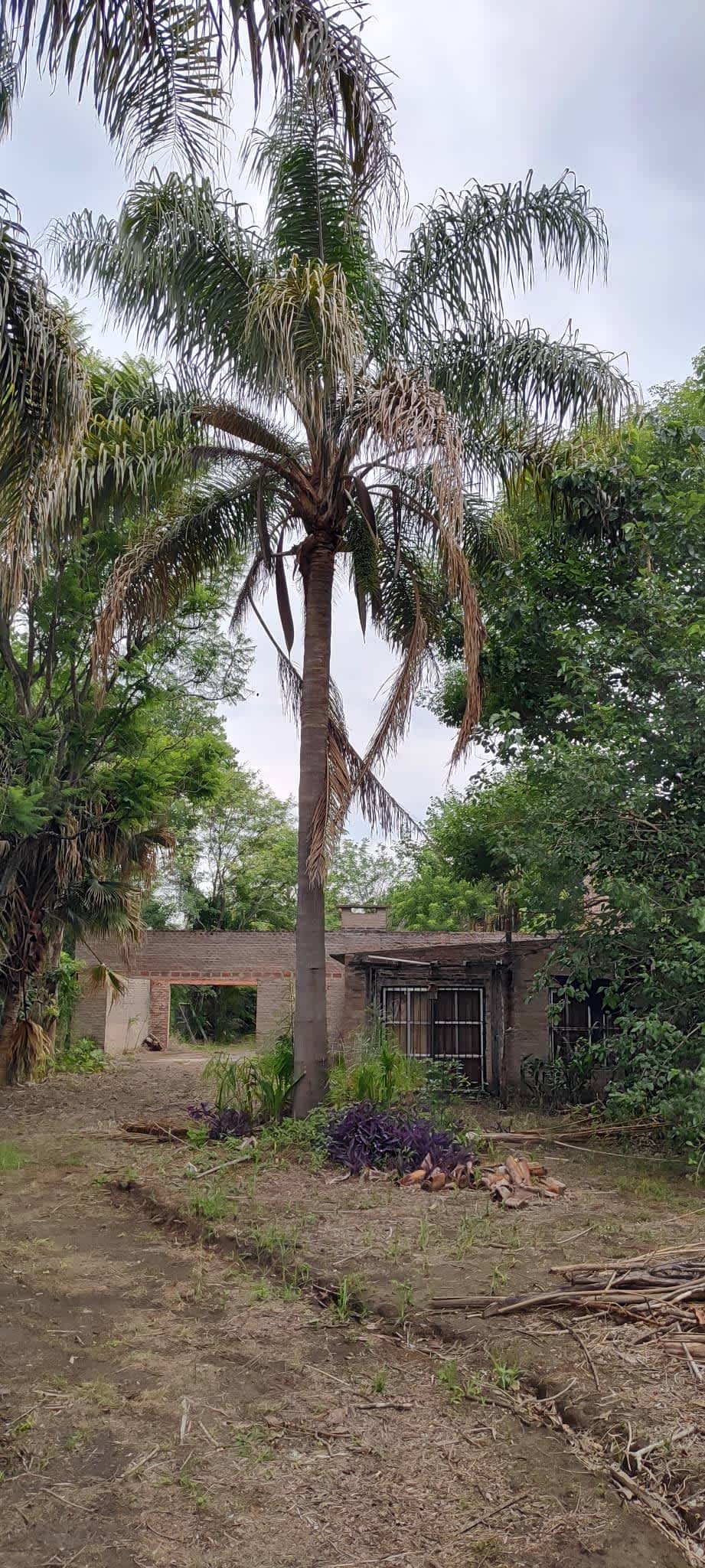 Terreno en Compra/Venta