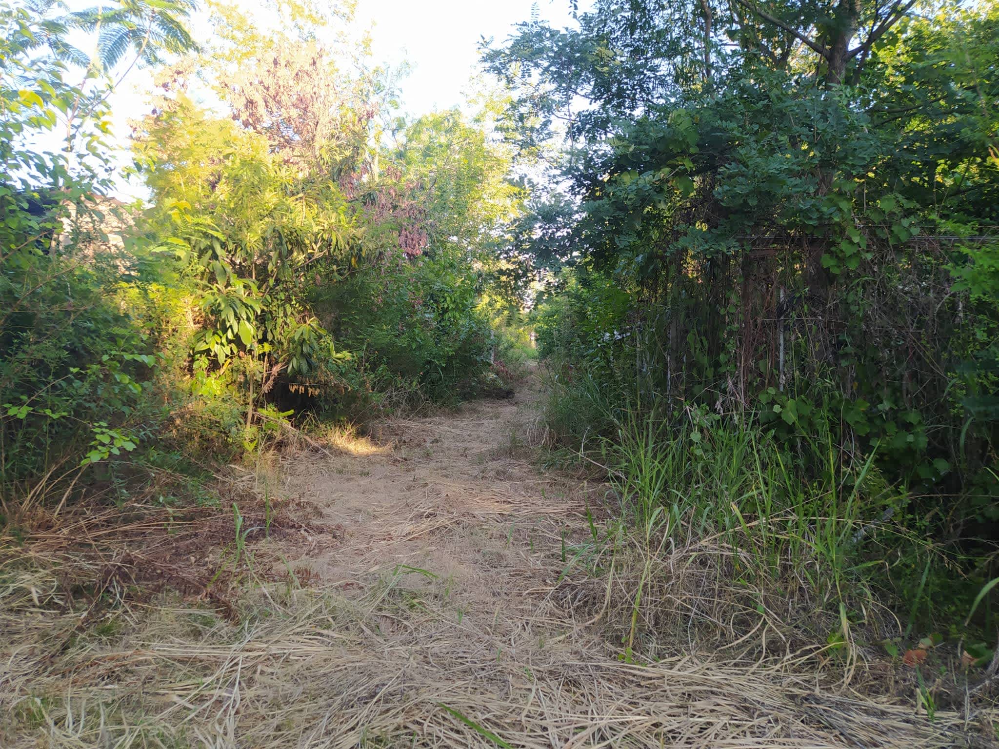 Terreno en Compra/Venta