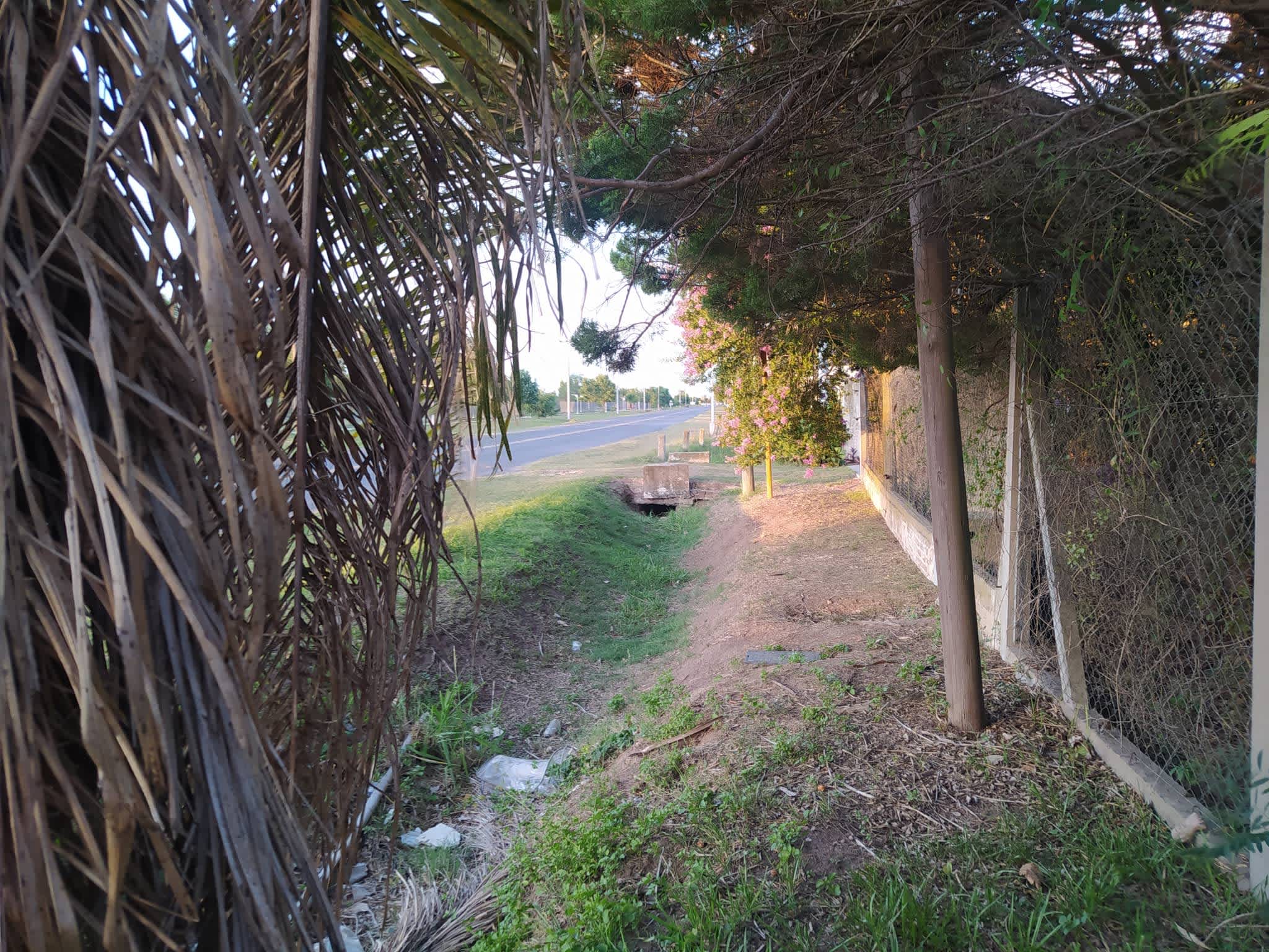 Terreno en Compra/Venta