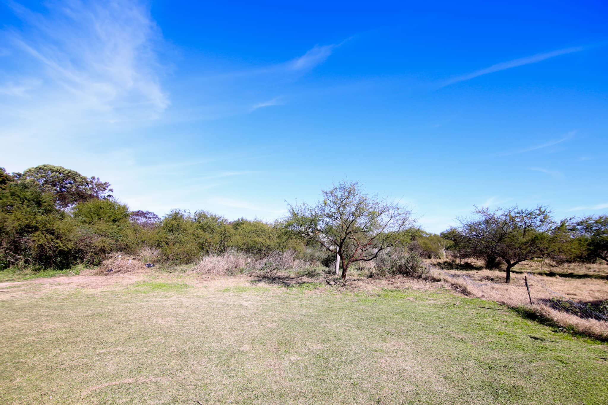 Terreno en Compra/Venta