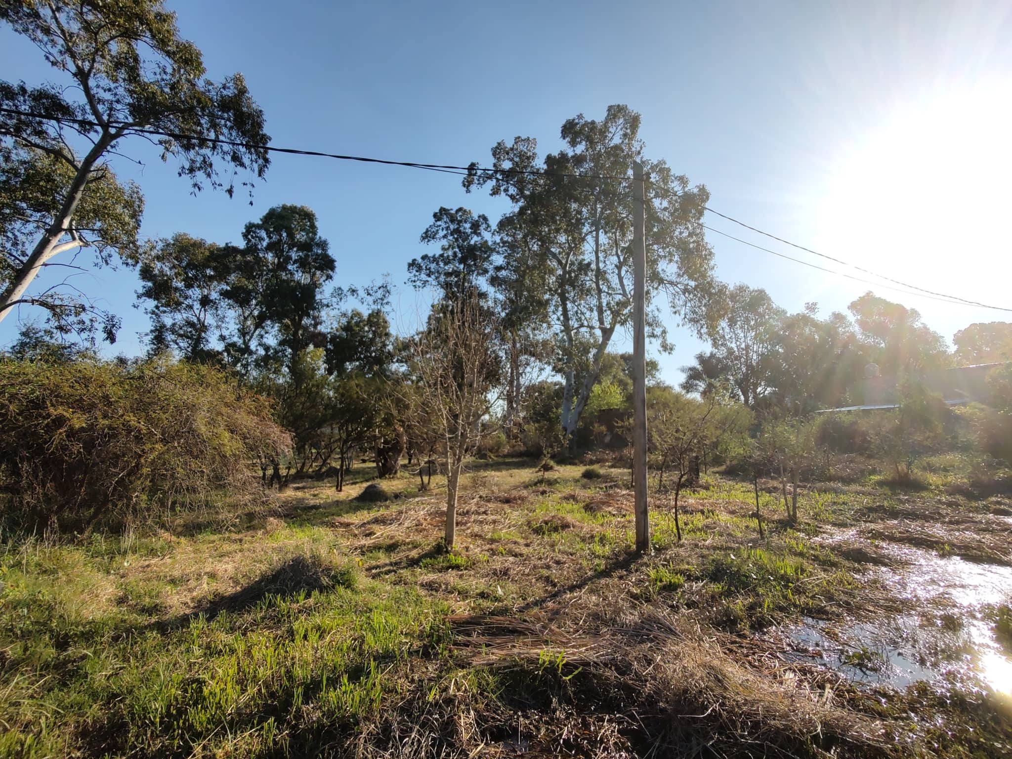 Terreno en Compra/Venta