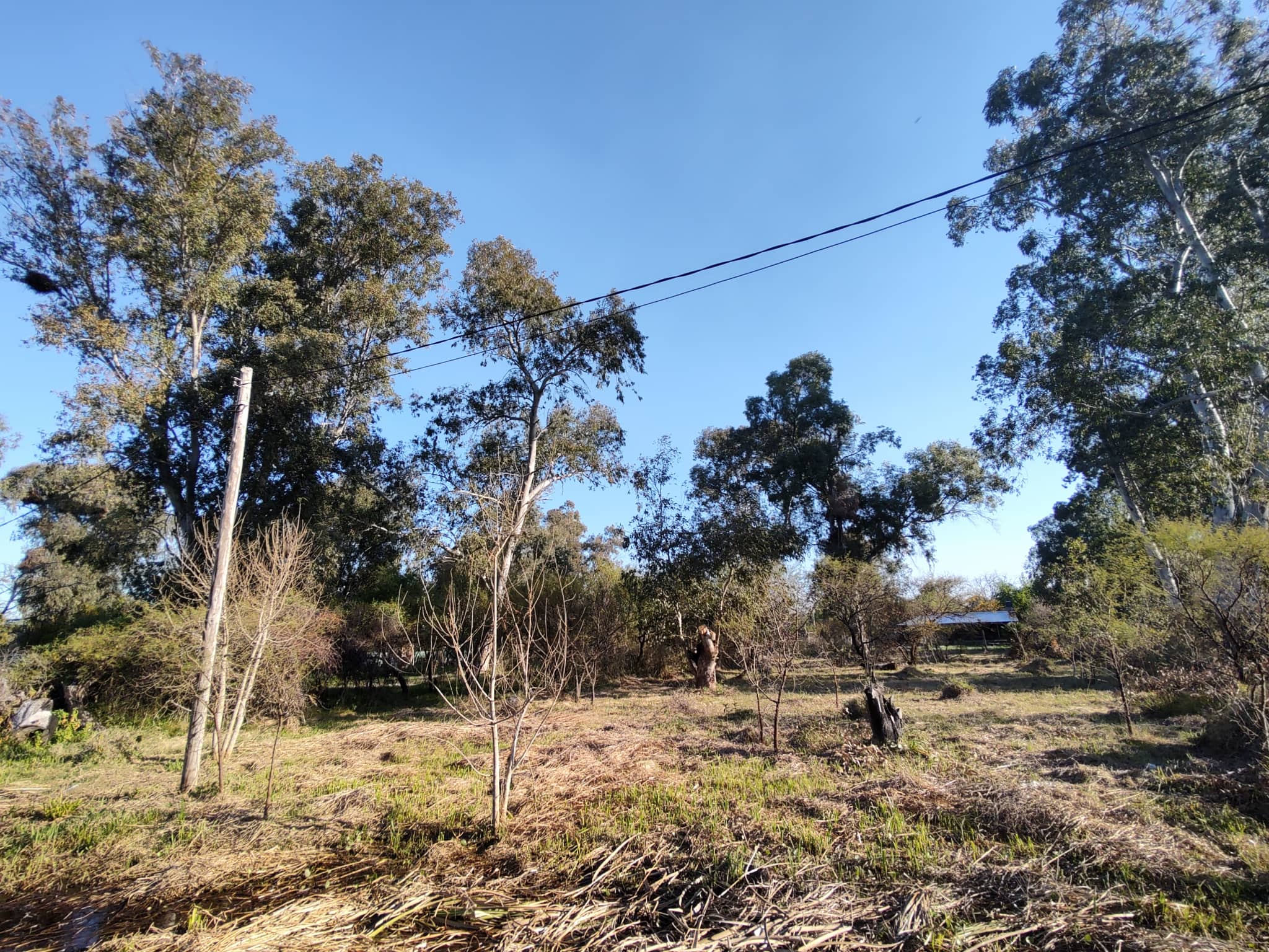 Terreno en Compra/Venta