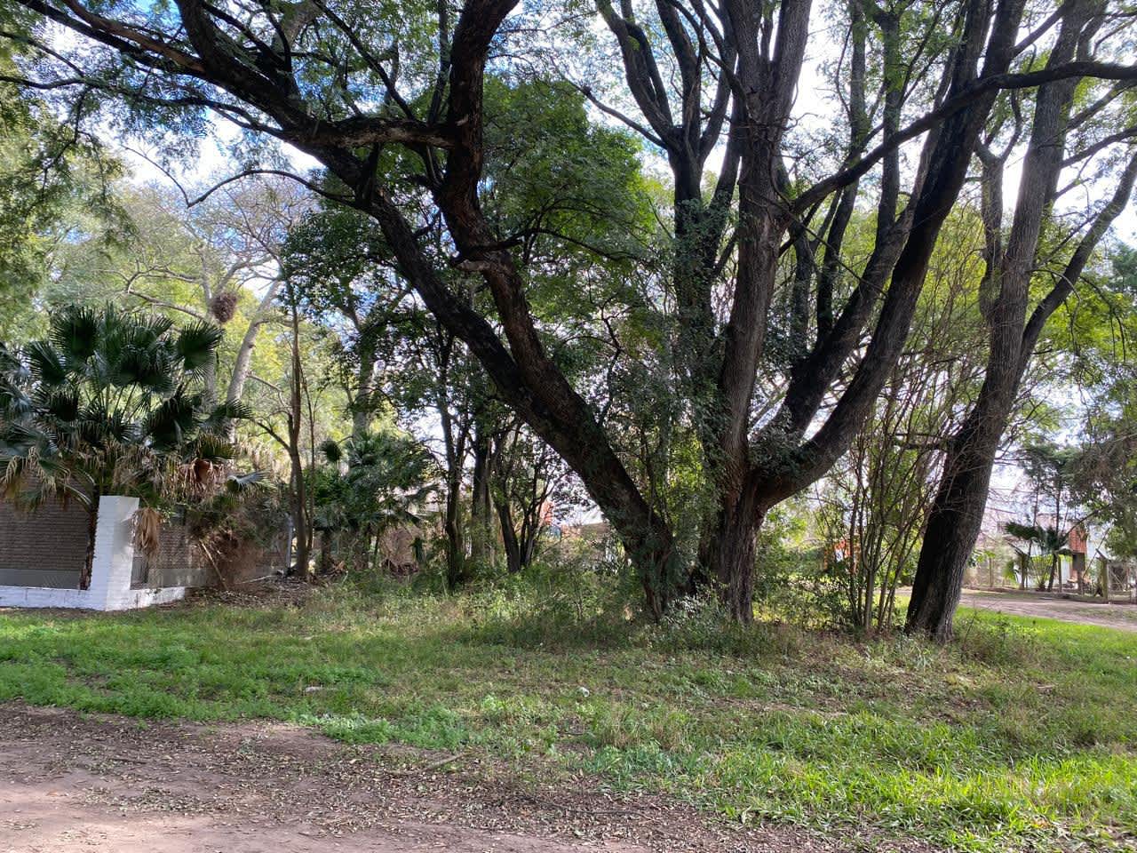 Terreno en Compra/Venta