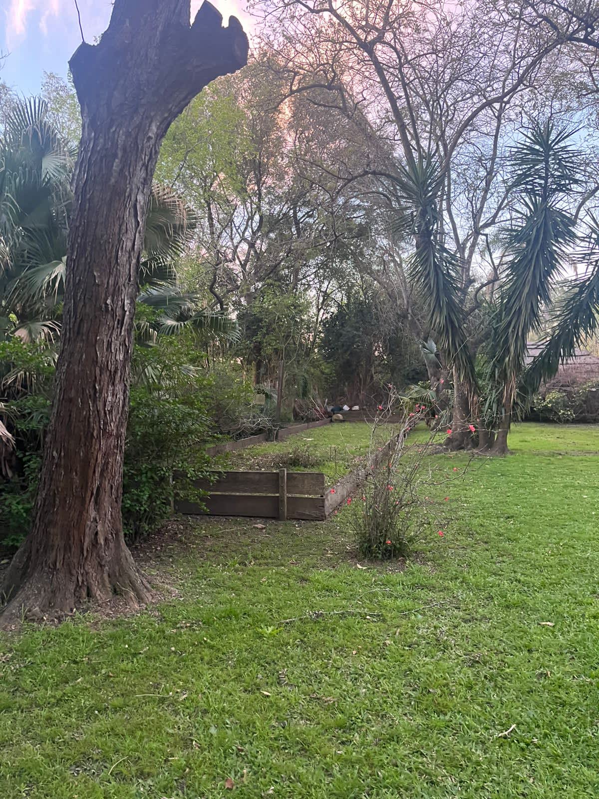 Terreno en Sauce Viejo, Jorge Newbery · foto 4