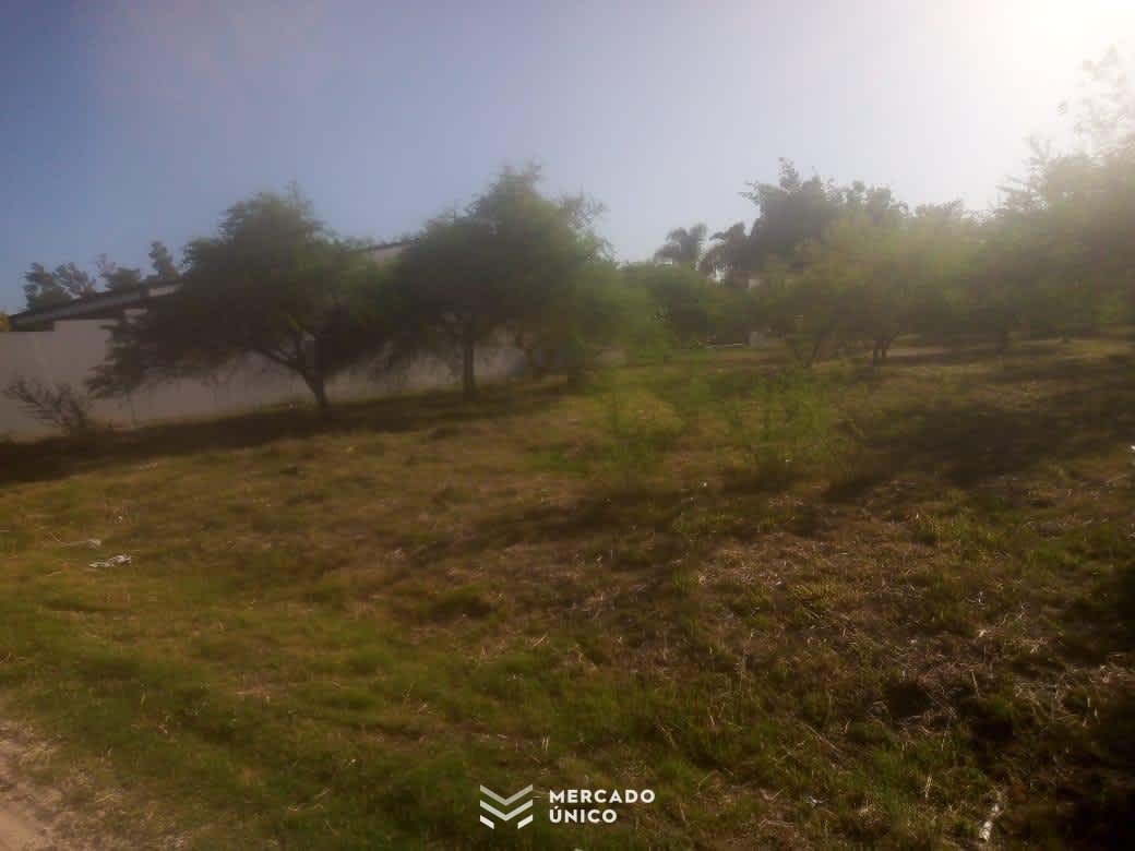 Terreno en San José del Rincón · foto 5